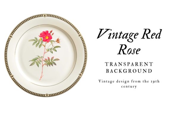 Download Vintage Red Rose Scrapbooking Design - Book Collection